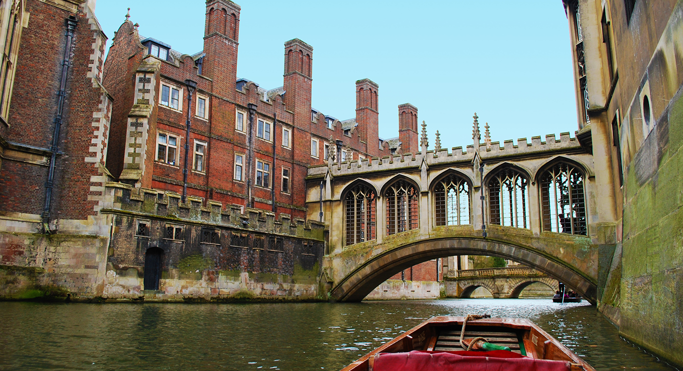 Punting along the backs on the River Cam